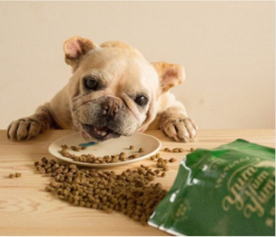 オリジナルドッグフード『YumYumYum!』販売開始