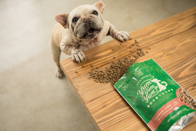 これがドッグフード？！常識を覆す「おいしい⾹り」で⼤注目の 「Yum Yum Yum!」6ヵ⽉で累計2万個を突破！